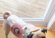 Trick or Treating on the Lawn Brings Fun for Everyone