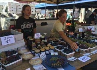 Charlottesville City Market in Full Bloom