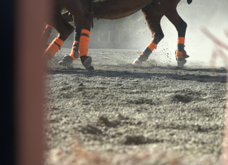 Going Clubbing: Episode 3 – Polo