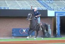 Meet The Cavalier Man