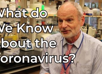 What Do We Know About the Coronavirus?