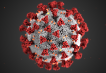 Coronavirus in Virginia Expected to Peak on May 28