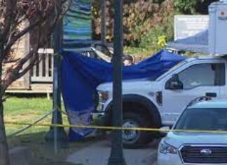 WUVA NOW: Community Working Safety Group Gun Violence Report