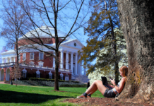 Guide to Grounds: What is Green Space and it’s Importance?